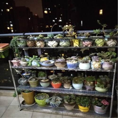 厨房家用置d物架三层锅架不锈钢色多肉花架落地储物收纳米桶架子