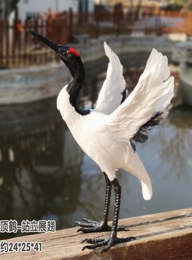 丹顶鹤摆件仿真模型展翅仙鹤模具白鹤白鹭丹顶鹤模U型真羽毛工艺