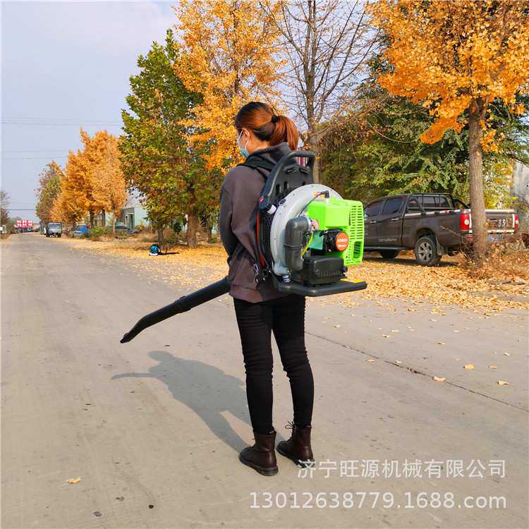 汽油动力灭火机 多功能背负式吹风机 工地清理吹尘机