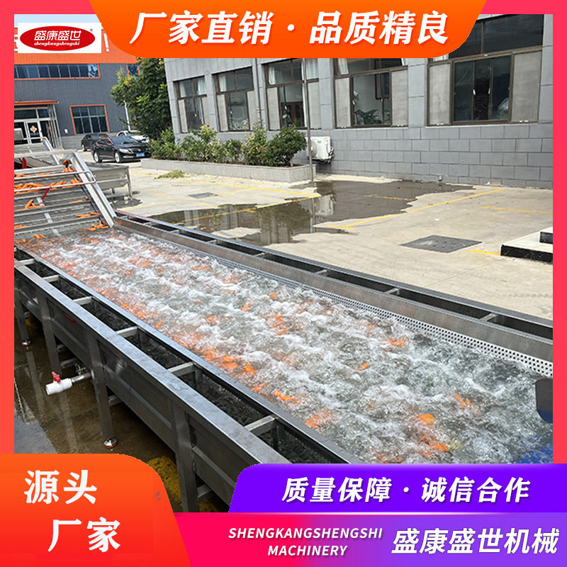 全自动果蔬清洗流水线 土豆胡萝卜去泥清洗机 根茎类菜清洗机盛康