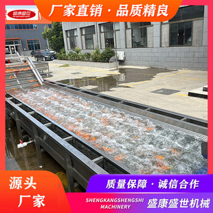 全自动果蔬清洗流水线 土豆胡萝卜去泥清洗机 根茎类菜清洗机盛康