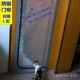 挡猫帘宠物门栏猫隔o离网免打孔阳台养猫隔断帘拉链款 软纱门防猫