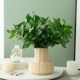 高品质仿真e绿植轻奢端假花客厅儿童房餐桌玄关茶几电视柜装 饰摆