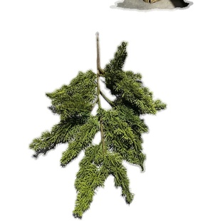 仿真树枝侧e柏塔柏树扁柏松柏树松枝软装插花装饰绿植常青树蓬莱