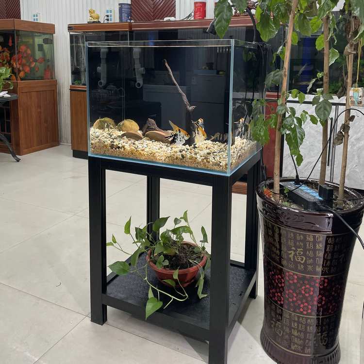 小型金鱼缸溪流缸客厅落地家用屏风生态免换水水族箱超白玻璃鱼缸