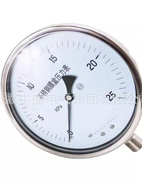 YB-251精密压力表