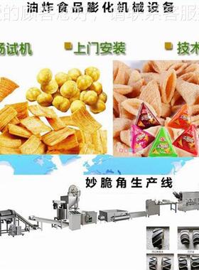 闲锅巴化机 休食品化机 油LJS炸膨食膨品膨化机 双螺杆膨化