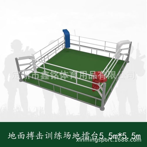 地面搏击训练场地擂台