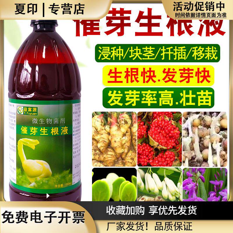 益富源催芽生根剂重楼黄精种子生姜催芽剂白芨育苗营养液石斛百部