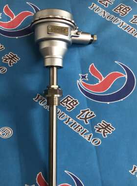 渗碳炉用热电偶WRN2ExiaIICT4