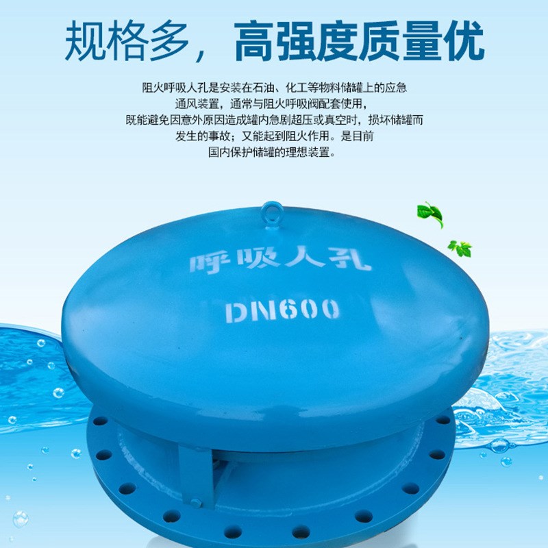 厂家生产 电厂附件阻火器水流指示器紧急泄压呼吸