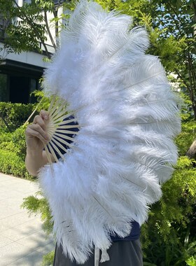 鸵鸟羽毛扇肚皮舞蹈酒吧表演演唱会道具羽毛绒扇子半径厘