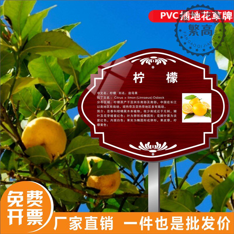 插地牌树牌果树树木标识牌介绍牌树名牌树铭牌草牌植树认养牌中草