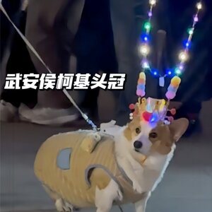 武安侯柯基头冠发光皇冠夜跑萌宠拍照玩具发箍武安侯同款头饰宠物