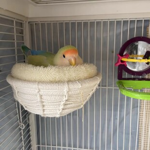 鸟窝鹦鹉窝四季通用悬挂窝麻绳编织窝耐磨耐抓不掉屑新款睡觉窝