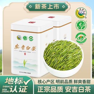 兰花香安吉白茶2025新茶正宗三标一码明前春茶罐装绿茶125克