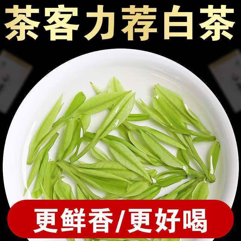 明前原产地2026新茶安吉白茶浓香型绿茶茶叶