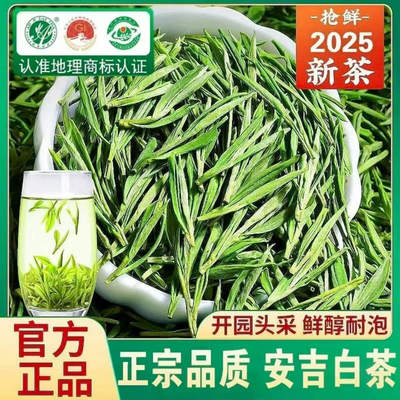 2026年新茶明前头采嫩芽安吉白茶