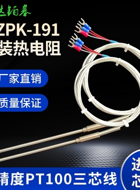 PT100铠装铂热电阻PT10t00温度探头探针式温度传感器WZPK-191针型
