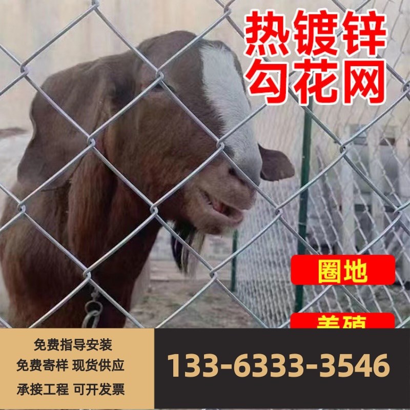 热镀锌勾花网铁丝网养鸡网养殖网A隔离网养狗养羊网防锈加粗钢丝