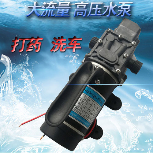 12V2a4V120W电动隔膜泵大流量大压力直流水泵农用喷雾洗车自吸打