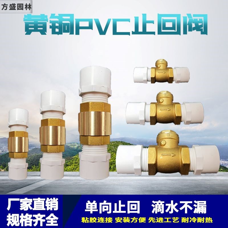 单向阀自来水管止水阀2025pvc管4F分6分铜止回阀开关防倒流止回阀