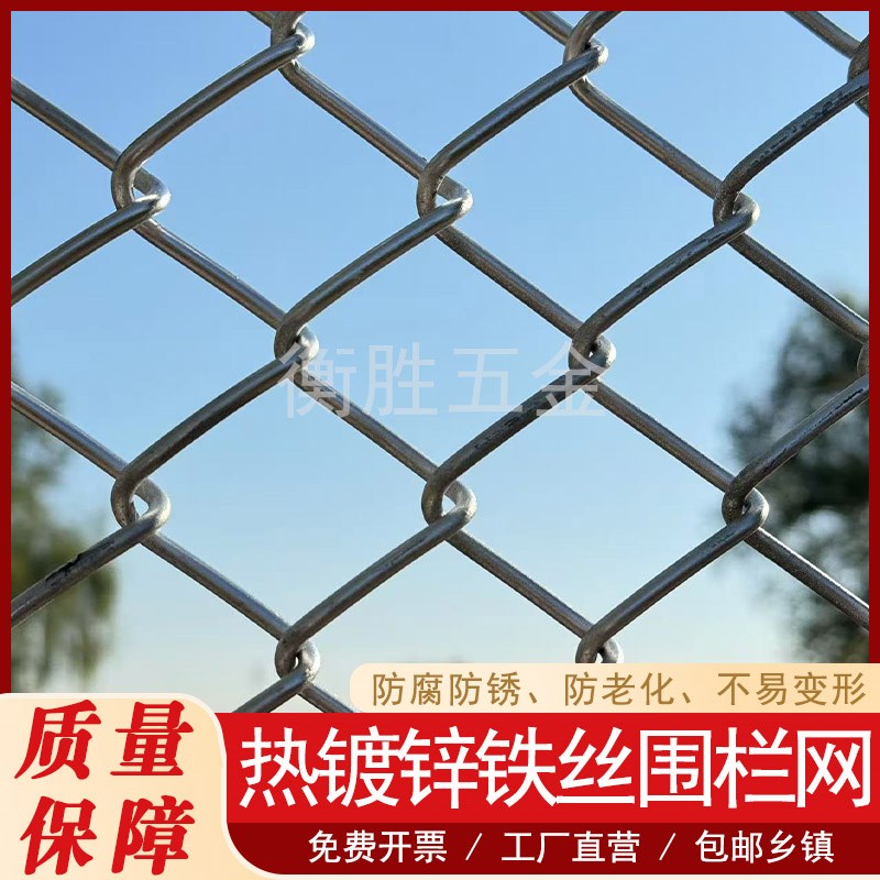 镀锌铁丝网勾花网围栏家用圈牛羊防护养殖网养鸡狗V果园隔离护栏