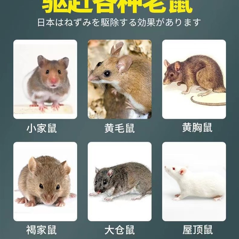 現(xiàn)貨林平科尼爾【】克尼爾可尼爾客尼爾