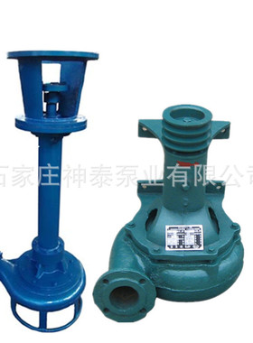 厂家销售加长型液下泥浆泵|50NSL25-15J立式泥砂泵 池塘清淤泵