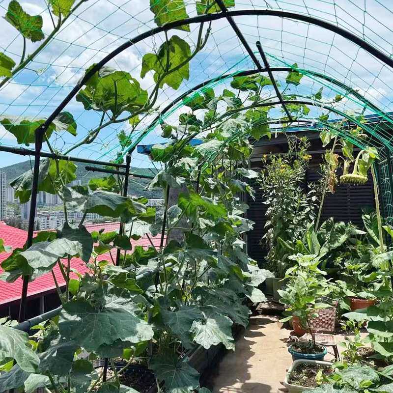 枝晓 20mm多功能丝瓜种植架 葡萄架猕猴桃葫芦南瓜大型果实架