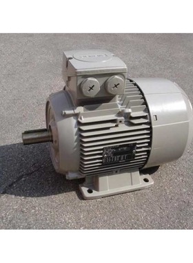 供应德国LAMMERS电机 MEZ系列鼠笼式三相异步电动机