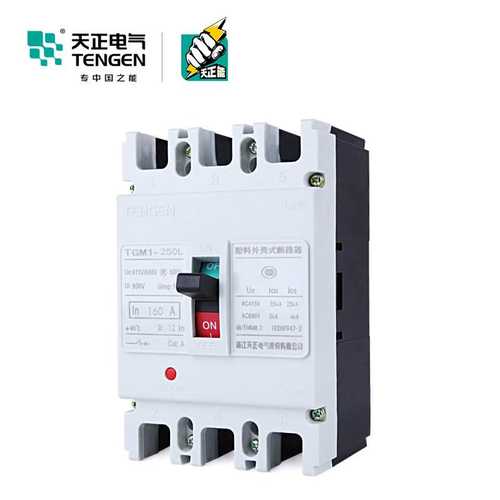 TENGEN天正TGM1塑壳断路器33002电动机保护断路器动力型空气开关