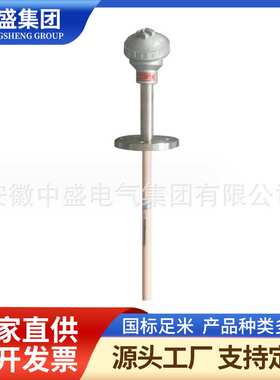 铂热电阻耐磨热电阻WZP-330 量程0-500度 PT100