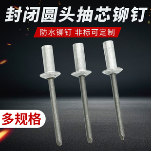 现货抽芯铆钉密封型大帽防水拉钉汽车抽芯铆钉扁圆头铝封闭式