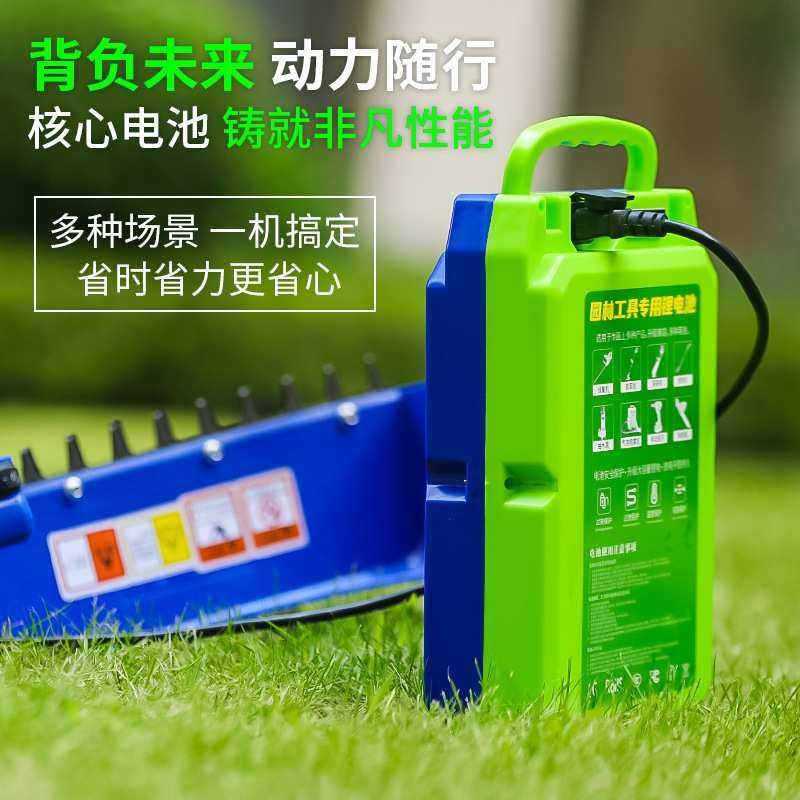 24V30AH大容量锂电池电动抽水泵采茶机绿篱修剪机48V专用锂电池