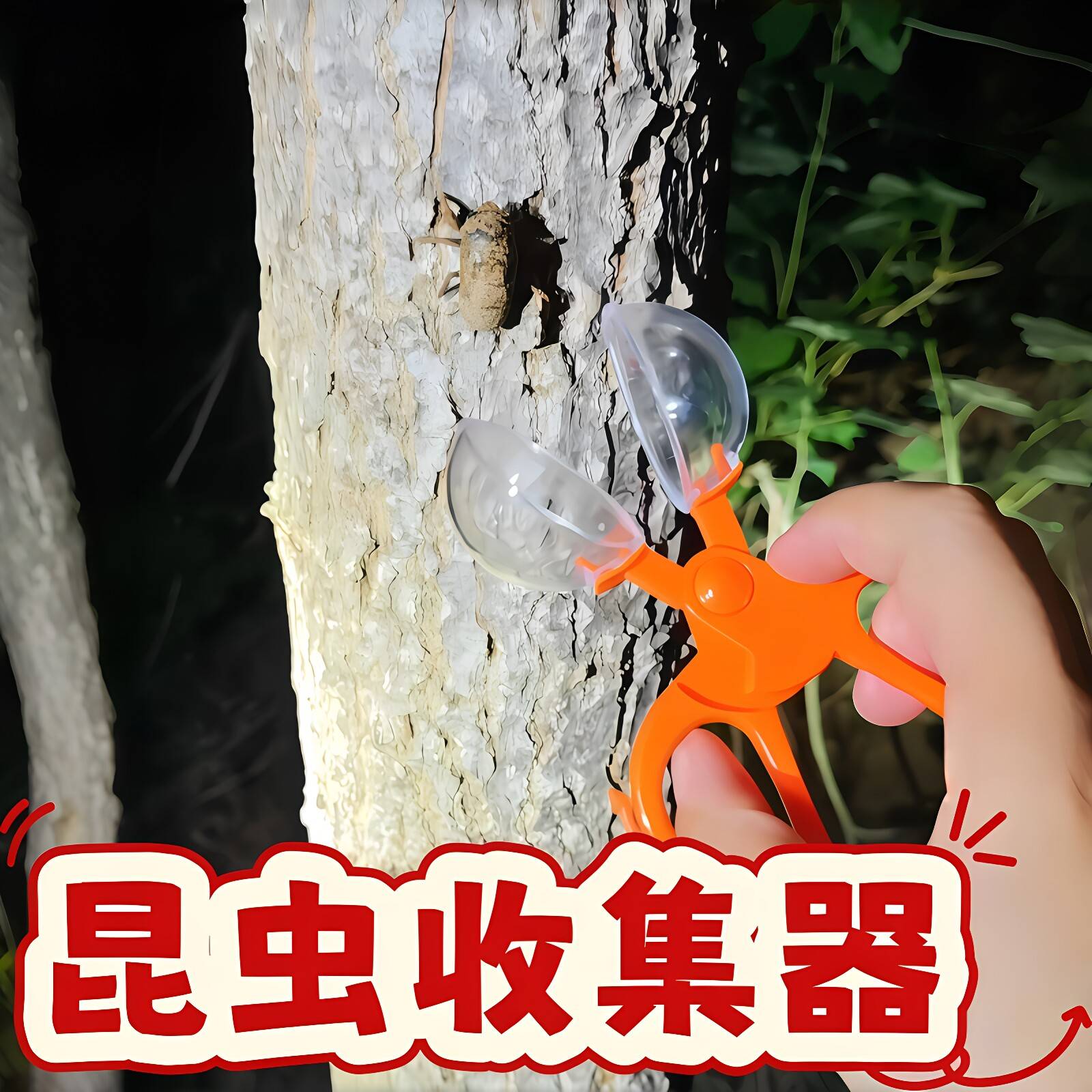 【逮知了猴神器】儿童昆虫收集器防叮防抓伤透明捕虫器爬宠夹钳子