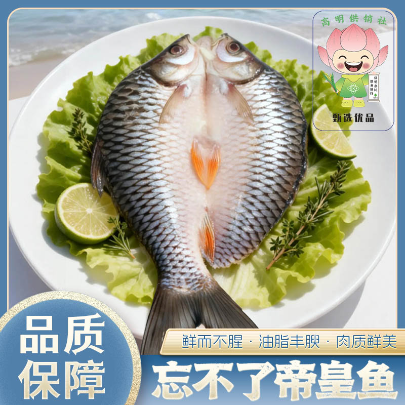 供销甄选马来西亚忘不了鱼咸鲜嫩