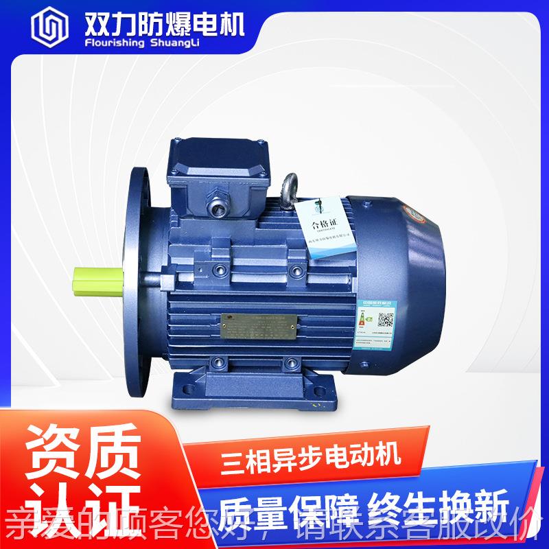3相异步电机 380Ev机械马达三相电动Y机 全137三铜 国标电机