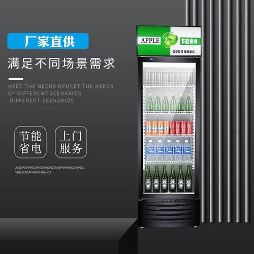 冷藏柜保鲜柜展示柜立式饮料柜商用单门388L冰柜双门啤酒冷柜水柜