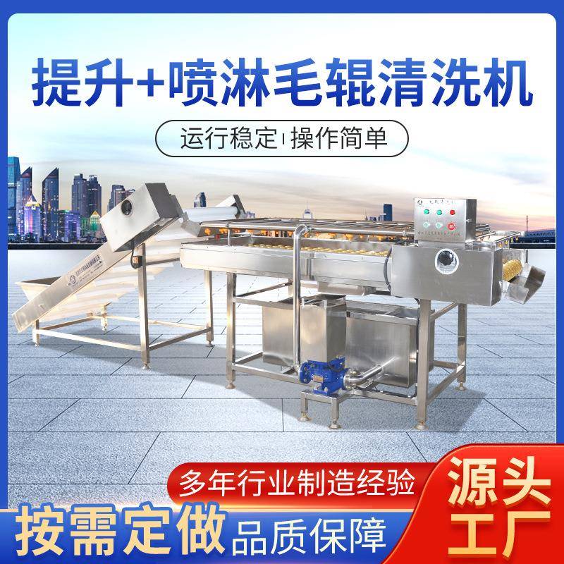 毛辊清洗机萝卜红薯去泥机土豆芋头喷淋清洗机毛辊提升清洗加工