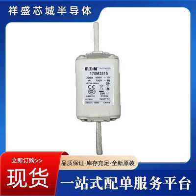 高压限流熔断器170M 2616 170M 2617 170M 2618 170M 2619现货