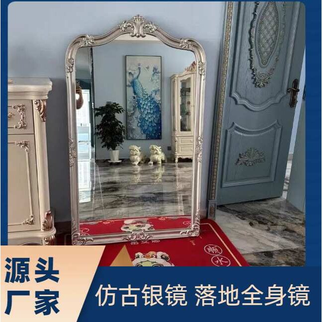 源头工厂定制全身镜家用壁挂落地双用试衣镜卧室化妆立体镜