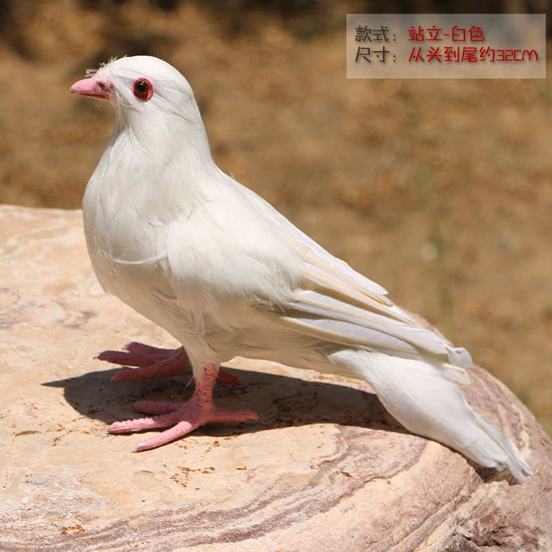 仿真鸽子摆件家居饰品客厅鸽子苗小鸽假鸟模型T创意真实羽毛新品