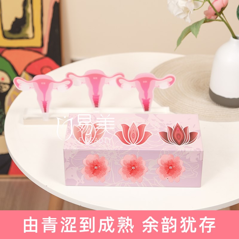 女性一探a究竟子宫变迁模型指尖密境青春悄逝月子会所摆件沙龙布