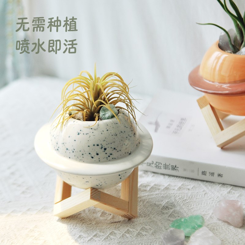 空气凤梨无土植物办公室桌面绿植小盆栽懒人四Q季好养防辐射小摆