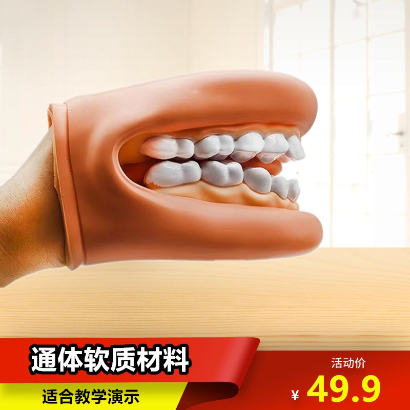 牙齿模型口腔教学牙科仿真教具幼儿园护理学刷O牙医学儿童发音演