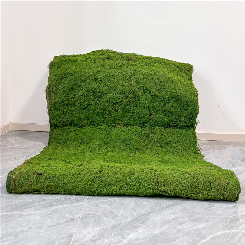 仿真草坪c绿色青苔微景观盆景造景假石头英德石装饰草皮苔藓绿植