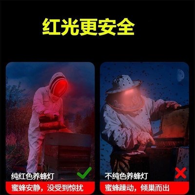 感应红白双e光源红光养蜂专用头灯查蜂取蜜看蜜蜂灯头戴手电筒调