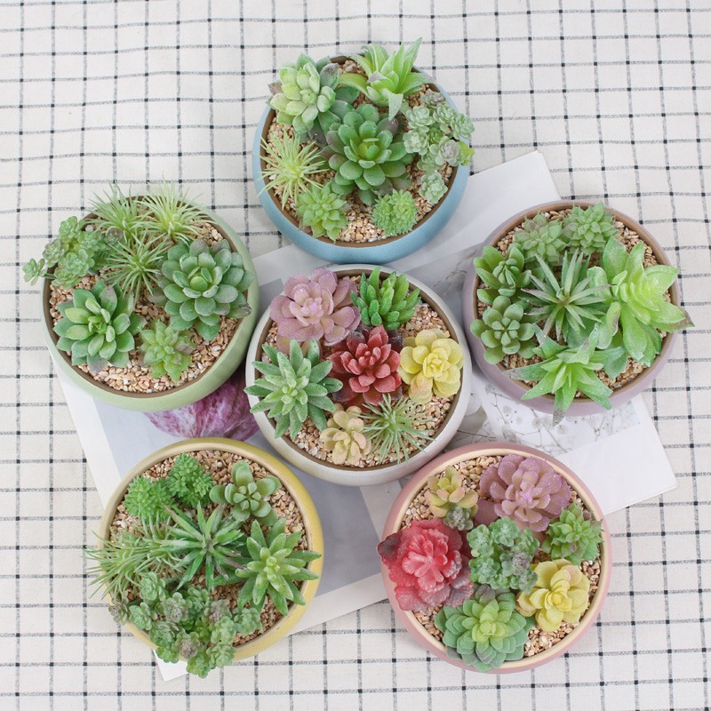 仿真多肉植物懒人套餐假多肉绿植diy组合盆景Q盆栽桌面假花小摆件