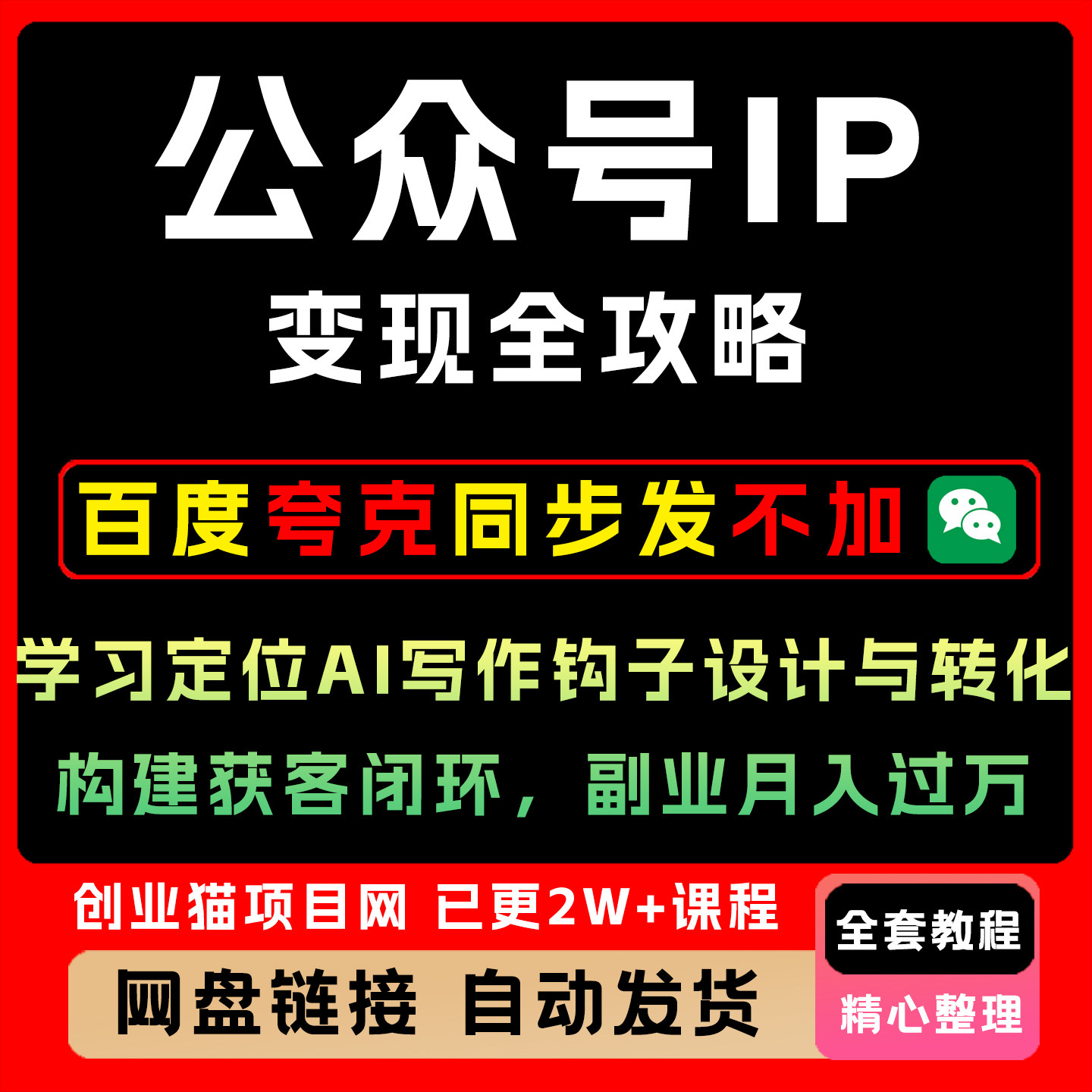 公众号IP变现全攻略 学习定位AI写作钩子设计与转化 构建获客闭环
